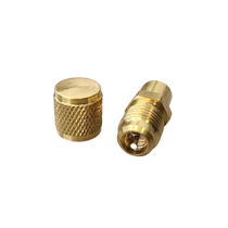 TÖLTŐSZELEP 1/4, 6,25MM HOSSZ 25MM TŰSZELEPPEL ÉS SZELEPSAPKÁVAL 